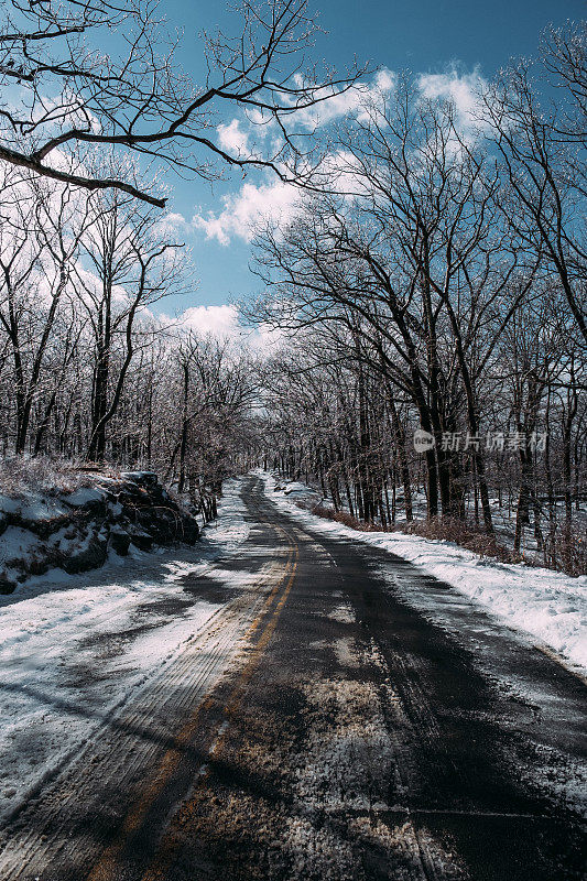 纽约州哈里曼州立公园的雪地道路