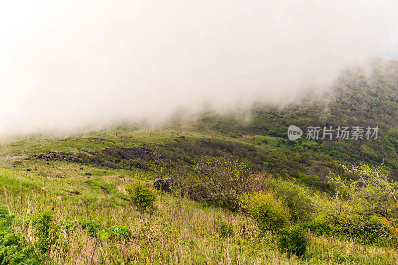 阿帕拉契亚山脉小道