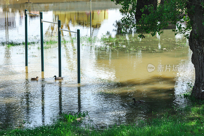 塞尔维亚的多瑙河和萨瓦河，城市的春汛，公园的运动器材被洪水淹没