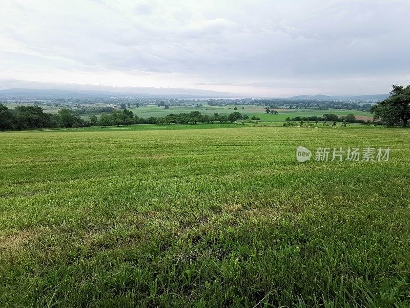 贺高，康斯坦斯湖和赫里半岛的宁静景色