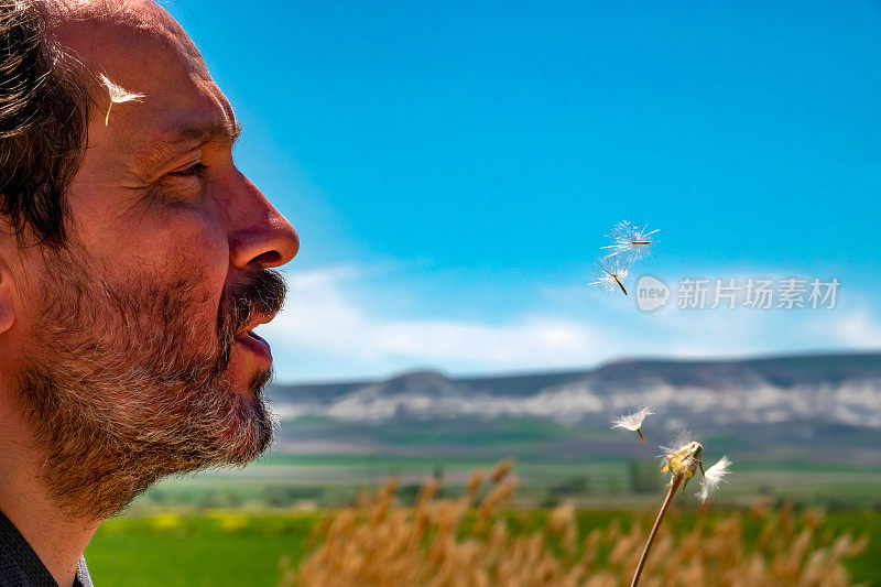 长者在大自然吹蒲公英