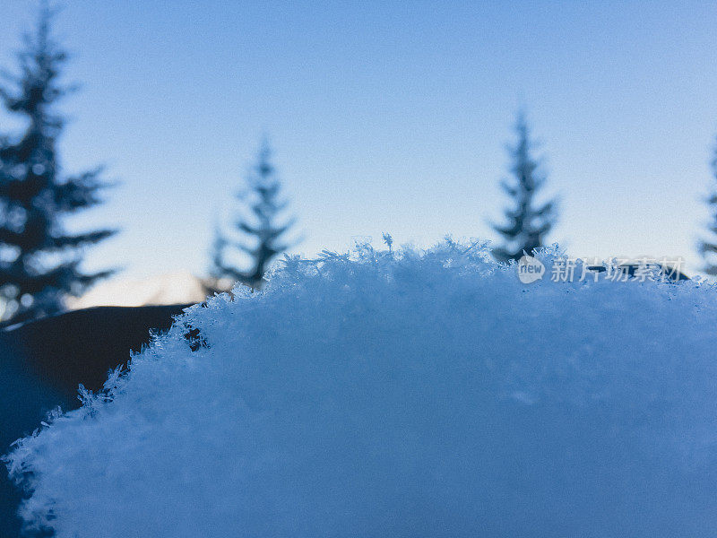 冬季仙境。冰晶的特写