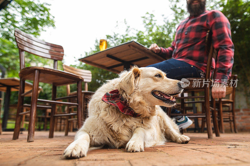 大胡子男人和他的金毛猎犬在放松