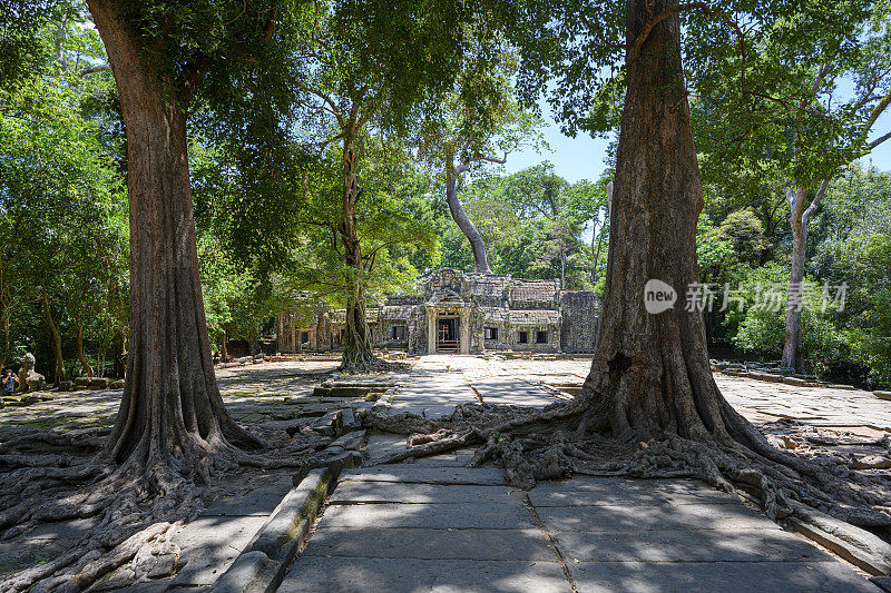 柬埔寨吴哥窟的塔普隆寺