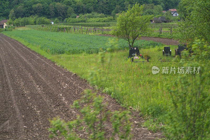 在德里纳河附近的田地里后院尽头的坟墓