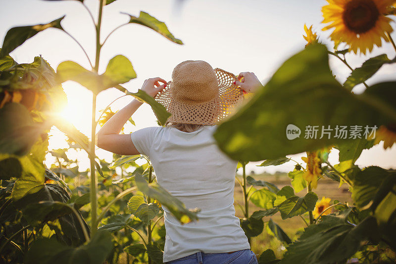 一个站在向日葵地里的女人