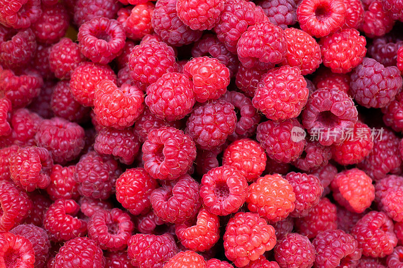 背景纹理成熟多汁的浆果树莓特写