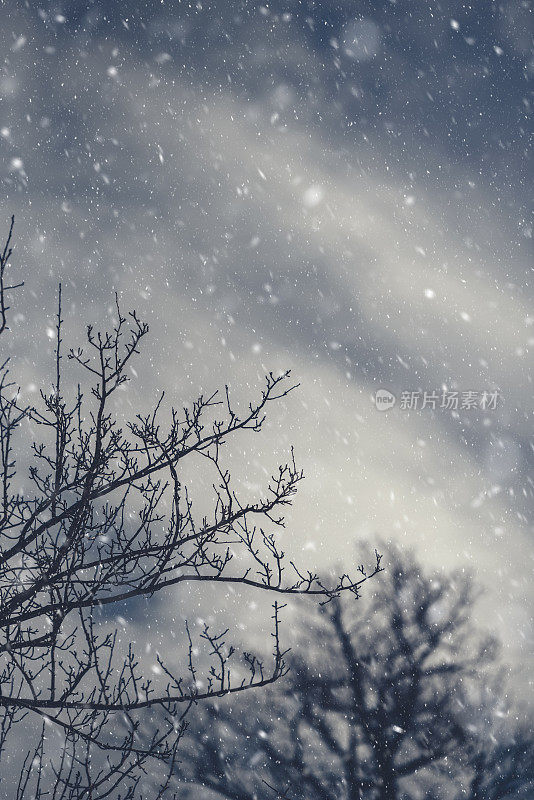 晚上降雪