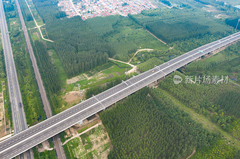 空中高速公路、森林