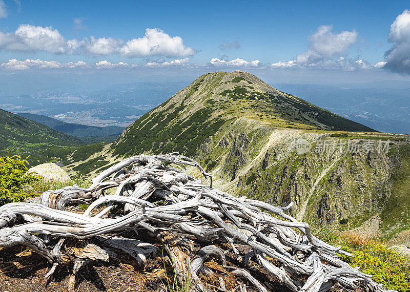 从皮林山的Polezhan峰观看Bezbog峰