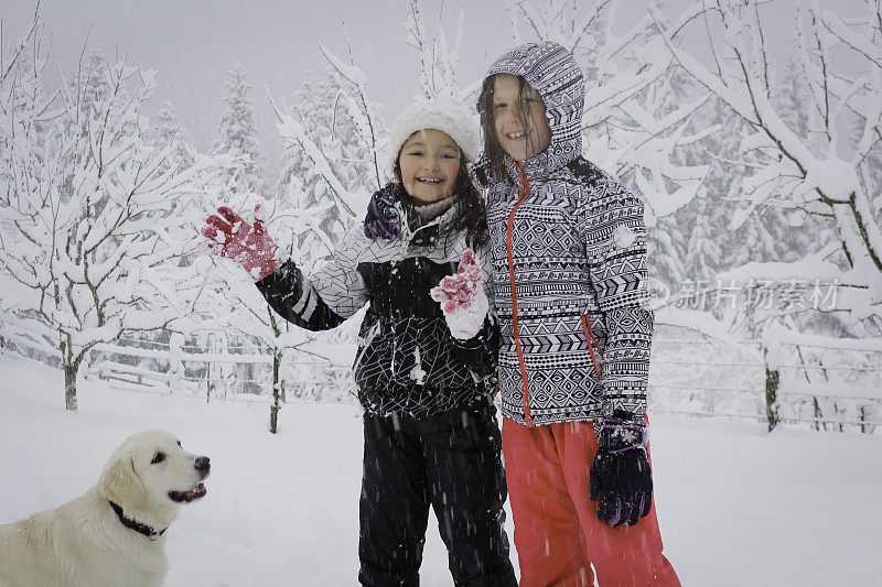 女孩们带着狗在雪地里玩得很开心