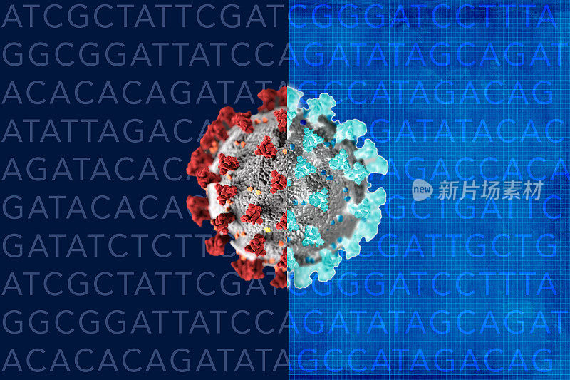 Covid-19基因变异和突变。ATCG基因密码突变。