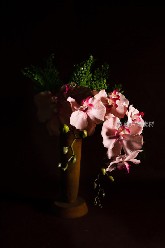 黑色背景上的塑料粉红色兰花花瓶。