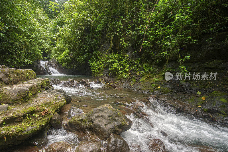 野生未驯服的造雨者雨林生物保护区在哥斯达黎加的云森林