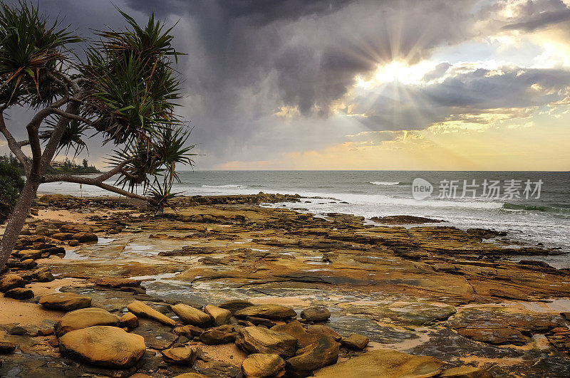 金沙滩Caloundra