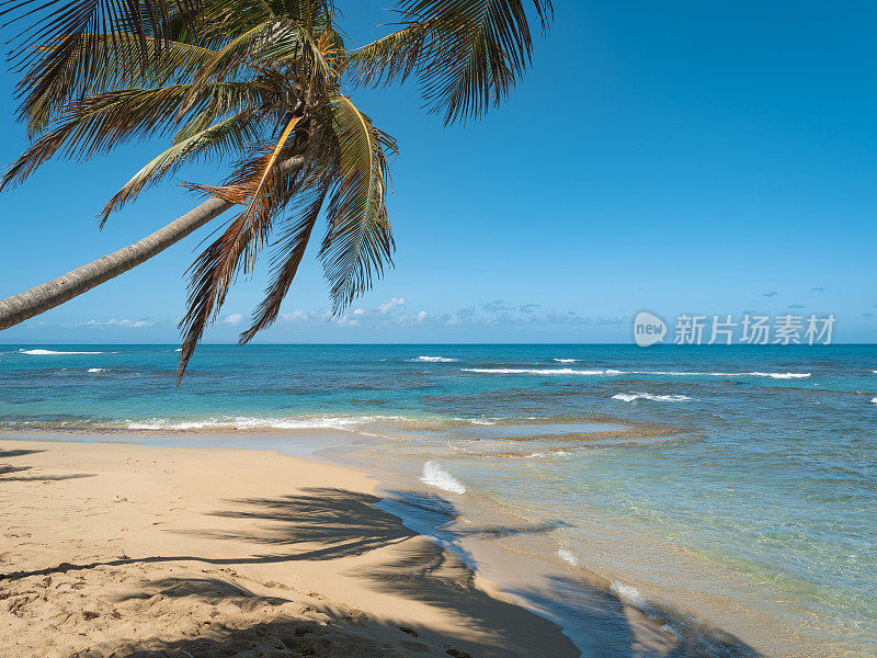 多米尼加共和国的热带海滩