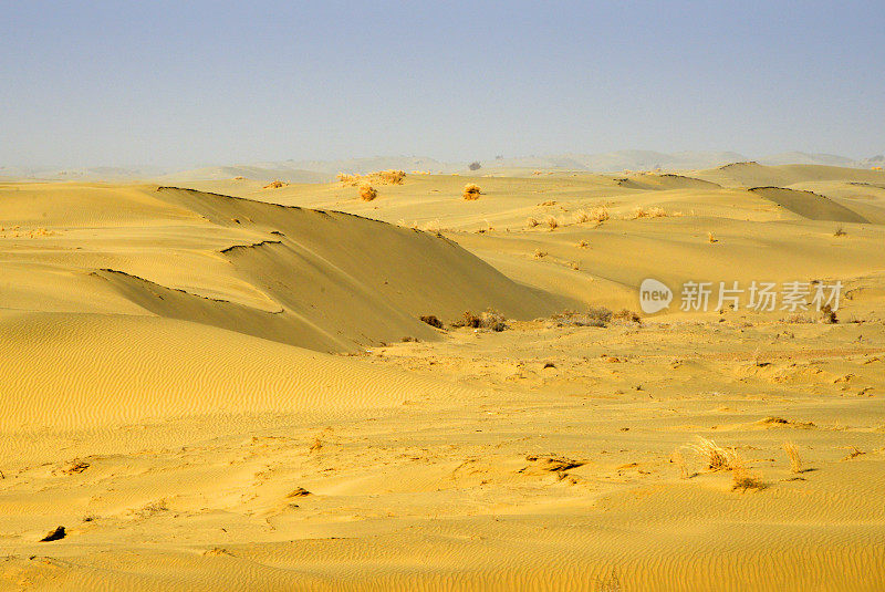 图拉尼亚沙漠-沙丘和地平线，巴尔赫省，阿富汗