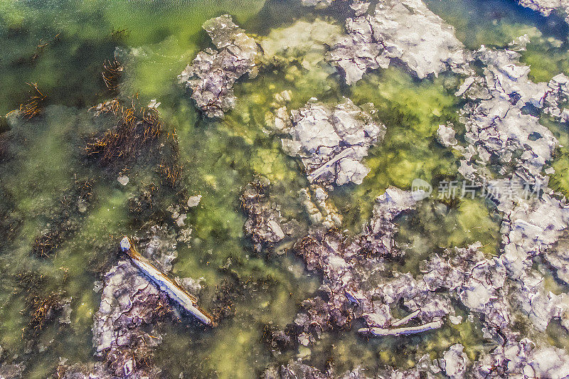 西雅图海岸冰冻的海面鸟瞰图