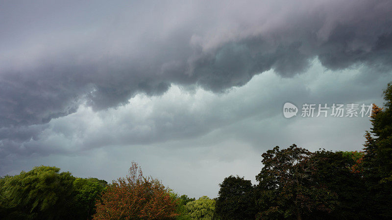 头顶上雨云的镜头;天气变化

搜索的图片
头顶上雨云的镜头;天气变化