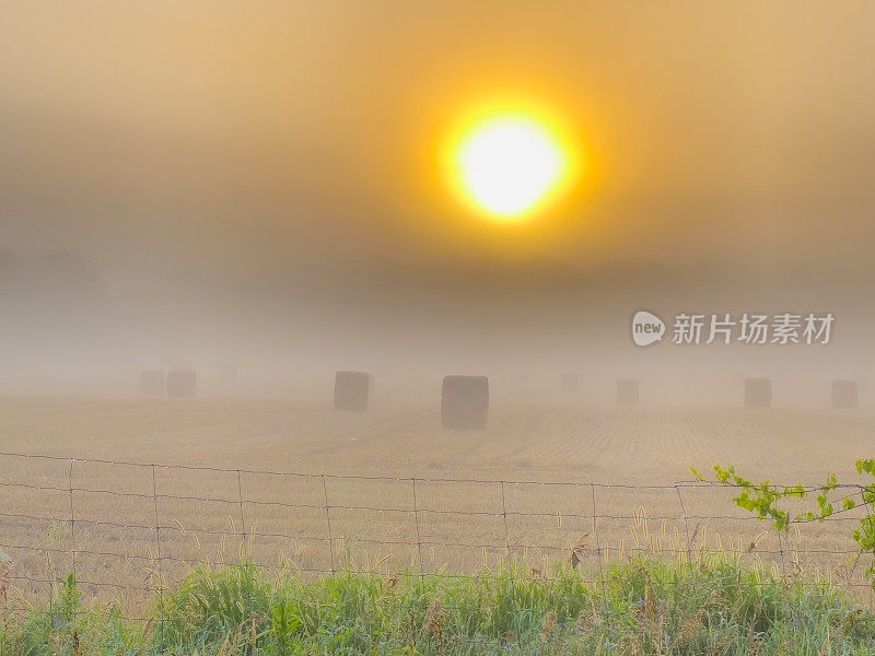 加拿大，曼彻斯特，佩里港，清晨雾中的乡村景色