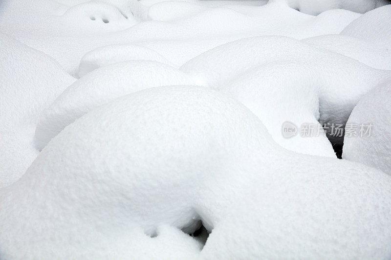 光滑的雪表面与小凸起的树