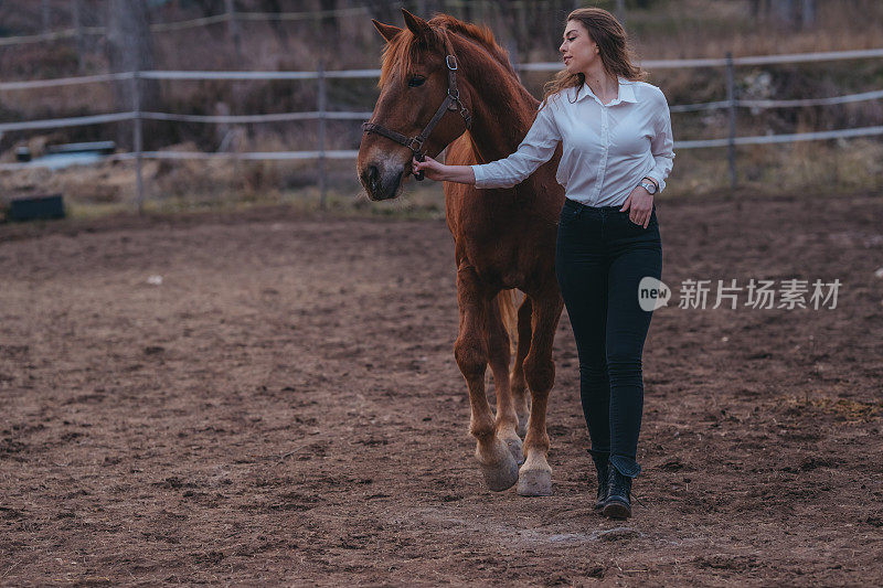 美丽的女人和她的骏马