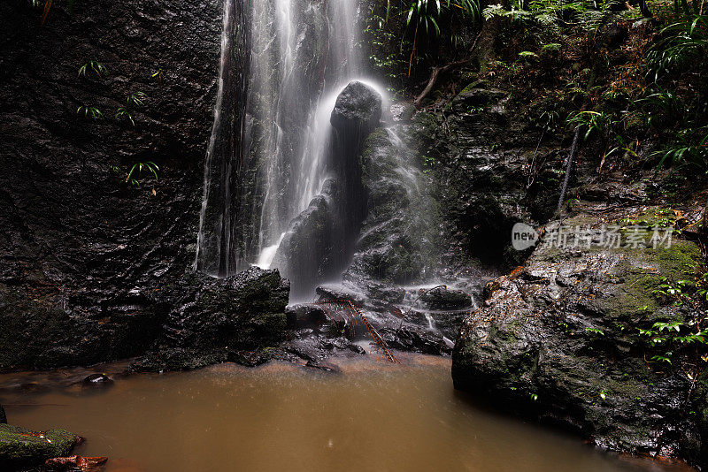 在澳大利亚的热带雨林中，瀑布的底部倾泻入一个小水池