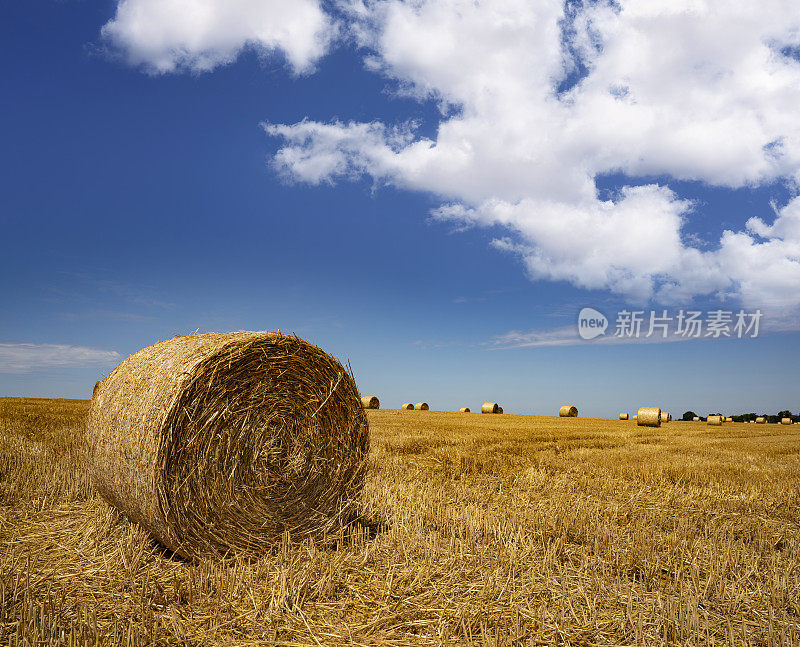 在法国阳光明媚的蓝天下，谷物的圆形稻草捆