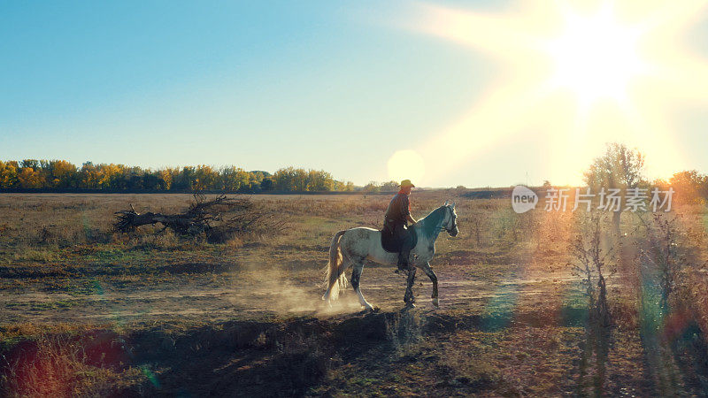 阳光明媚的乡间小路上，一个穿着牛仔装的男人骑着白马