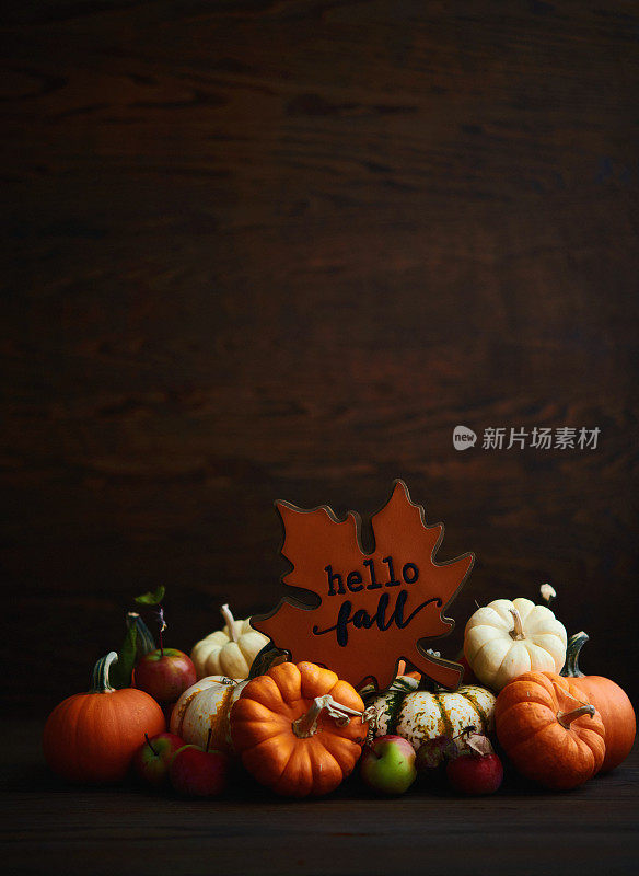 乡村的秋天背景与收集的微型南瓜和HELLO秋天标志。木制背景与复制空间
