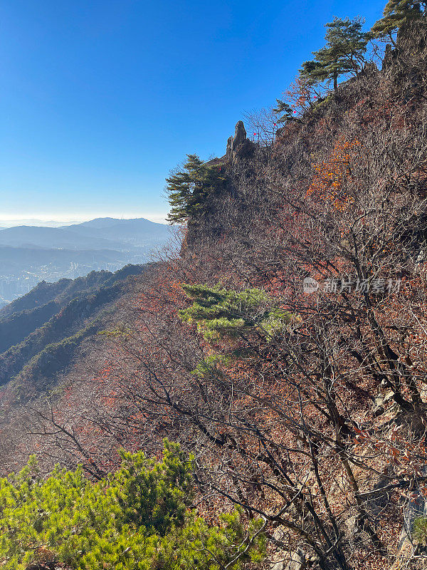 首尔的秋山