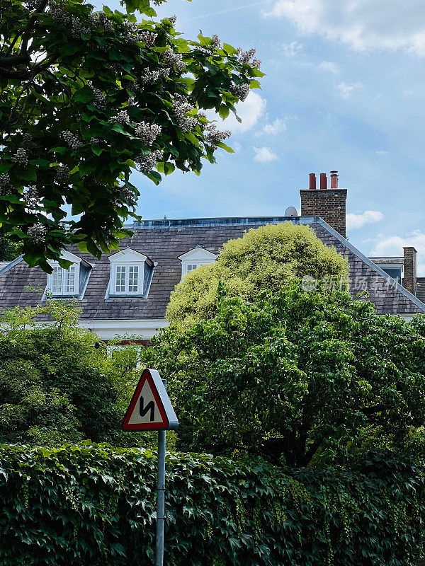 垂直拍摄的屋顶与屋顶窗背后郁郁葱葱的绿树和灌木栅栏