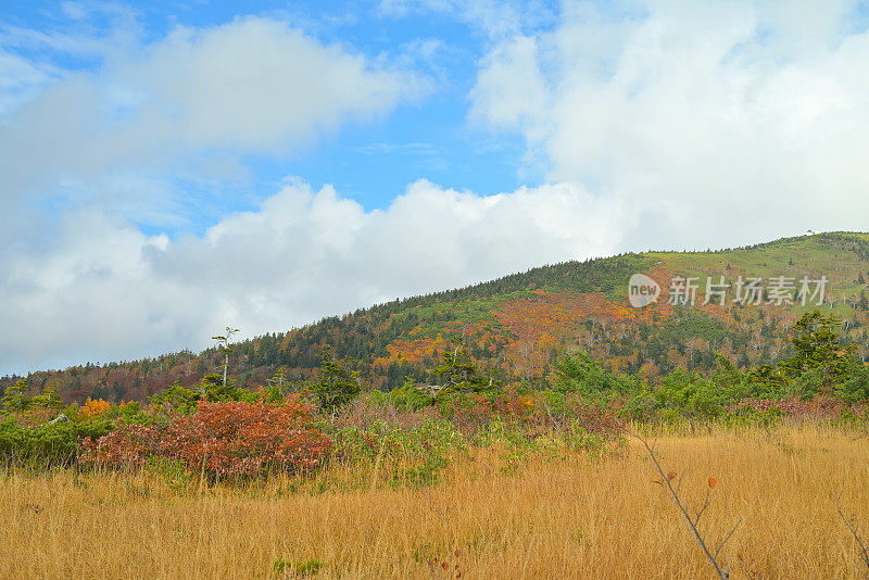 秋景，日本青森八谷田山(10月-2022年)