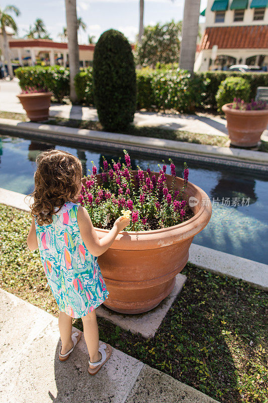 2023年春天，佛罗里达州棕榈滩，一个4岁的女孩，棕色卷发，穿着五颜六色的连衣裙，帆船和白色凉鞋，看着并触摸在反射池旁边的一个大陶土盆中生长的品红色花朵