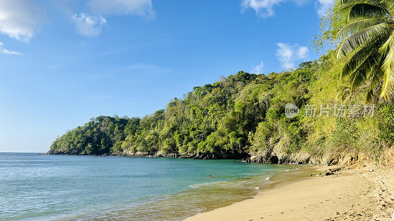 多巴哥岛的海滩和棕榈树