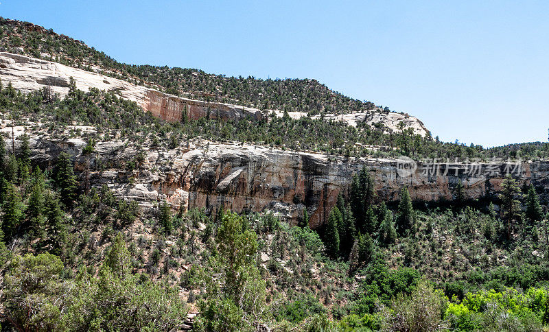 峡谷壁上布满了杜松和小灌木林，还有砂岩悬崖和松树。