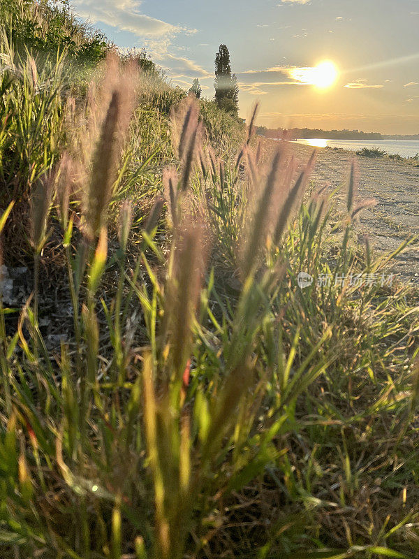 日落时分的多瑙河