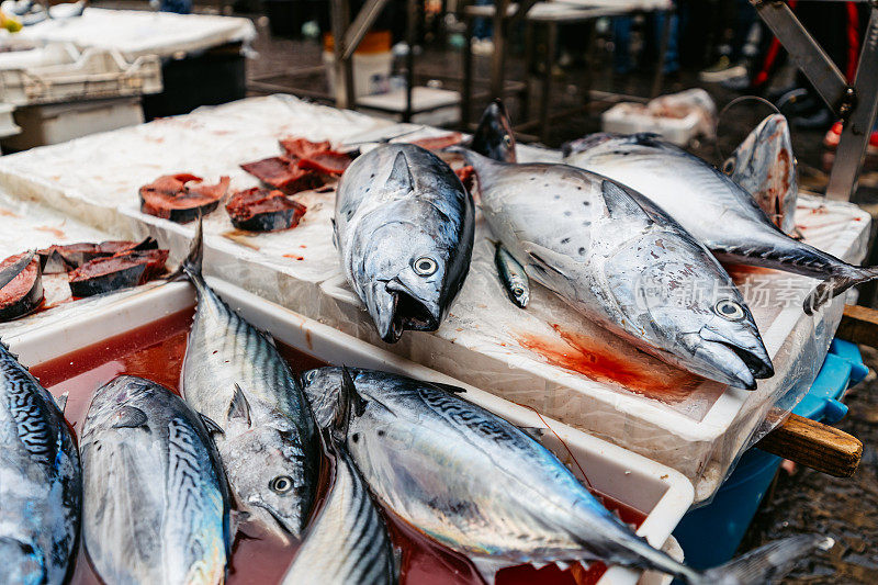 在卡塔尼亚的一个鱼市场展出的鱼
