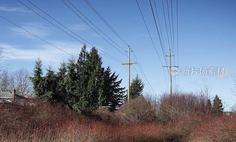 加拿大大温哥华绿道上的电网
