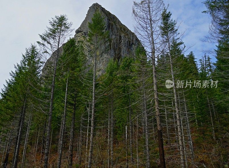 俄勒冈州狼岩隆起