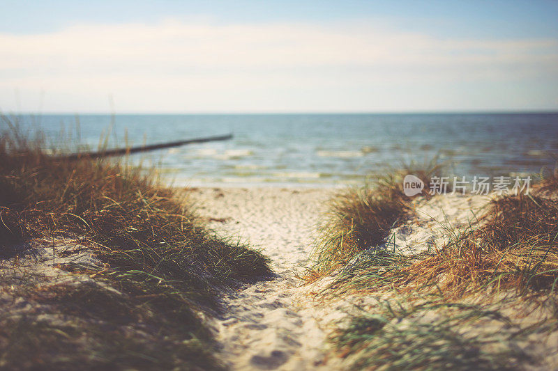通往波罗的海一个安静的沙滩，德国Hiddensee在一个阳光明媚的日子