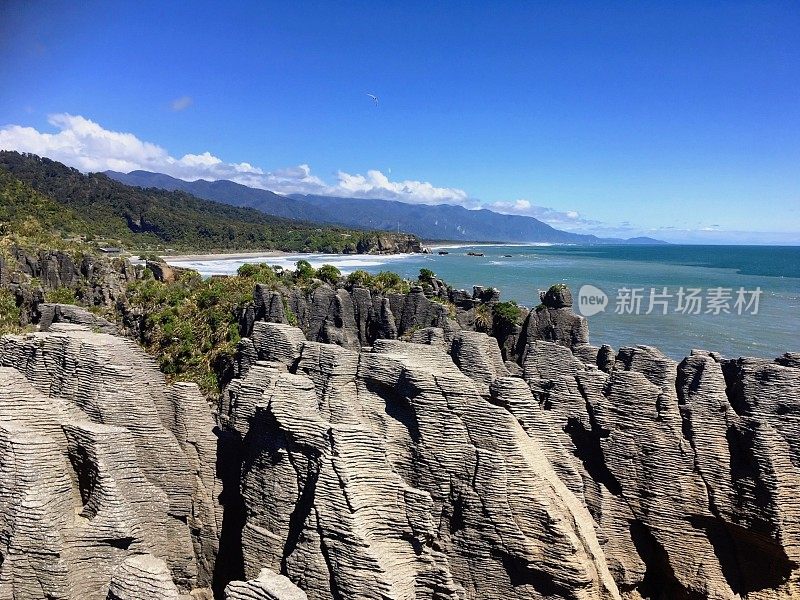 新西兰Punakaiki的松饼岩石、森林和海滩