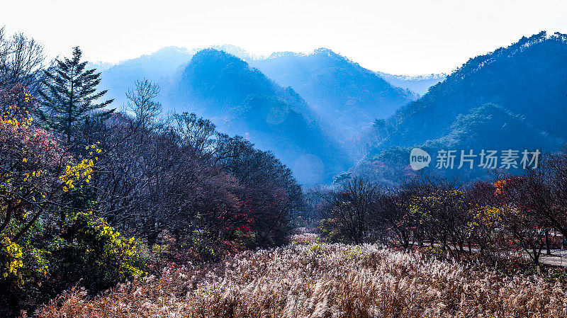 秋日午后，那江山全貌