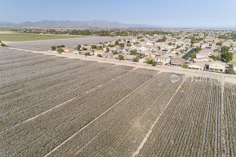 住宅开发侵占了亚利桑那州的农业