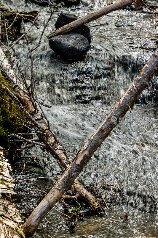在前往大瀑布的路上，理查德·斯奎尔斯爵士纪念省公园，加拿大纽芬兰