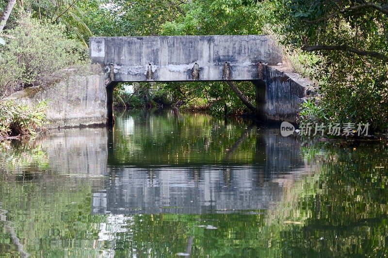 水泥桥横跨喀拉拉邦回水运河，印度，从独木舟旅游平底船观看