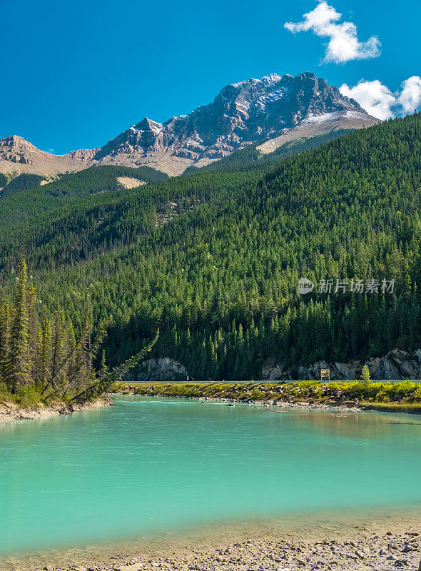 弓河和加拿大落基山脉景观