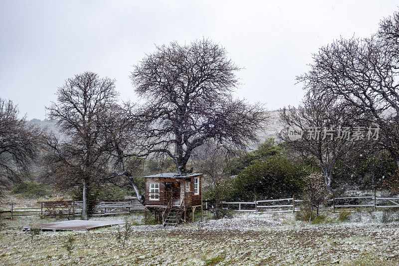 雪和树屋