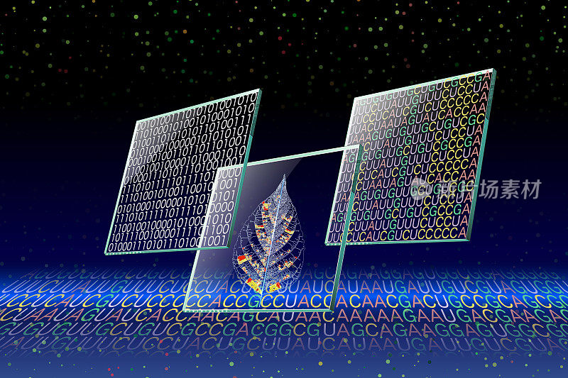 基因工程和DNA微阵列图像。二进制编码、静脉编码和mRNA碱基编码显示在透明晶片屏幕上。