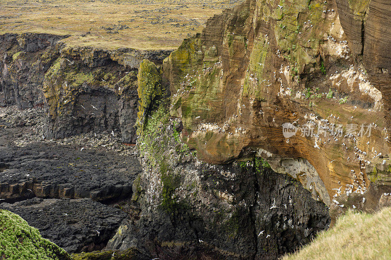 冰岛Londrangar玄武岩悬崖